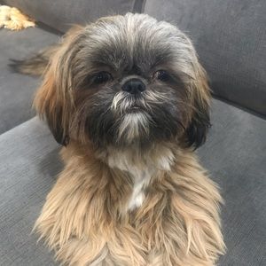 Meet your Posher, Nermina